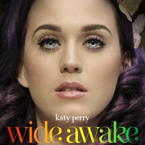 katy perry wide awake lyrics